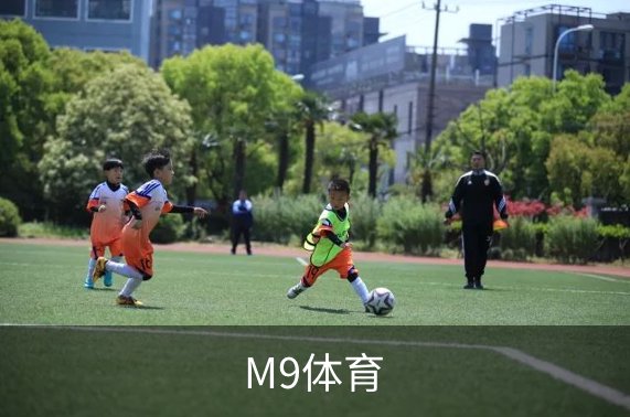 M9体育简介